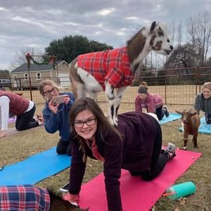 Meet your Posher, Madison